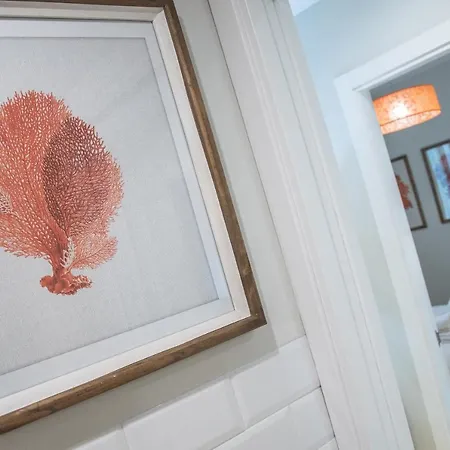 Sueno De La Caleta 公寓 *