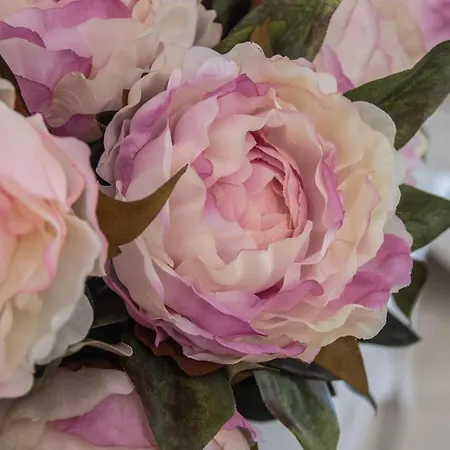 Sueno De La Caleta 公寓