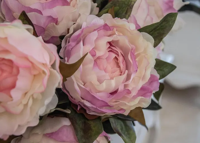 Sueno De La Caleta Appartement